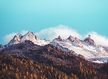 完美世界竞技平台官网-文班亚马22分14板2助 NBA马刺116-106雷霆